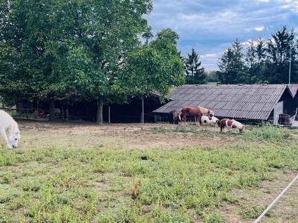 22-09-10 17-55-45 1970